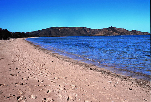 Beach photo