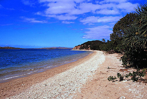 Coral Sand photo