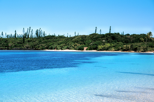 Coral Reef photo