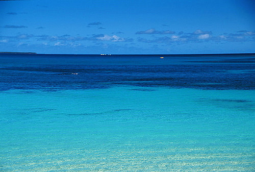 Coral Reef photo