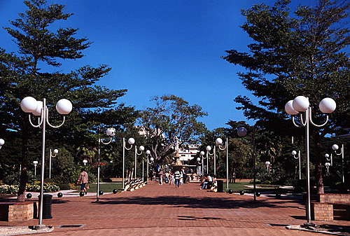 Place des Cocotiers photo