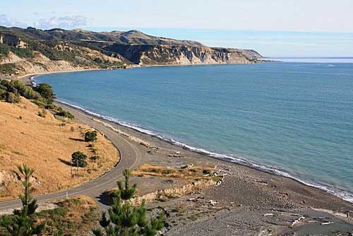 Cape Palliserphoto