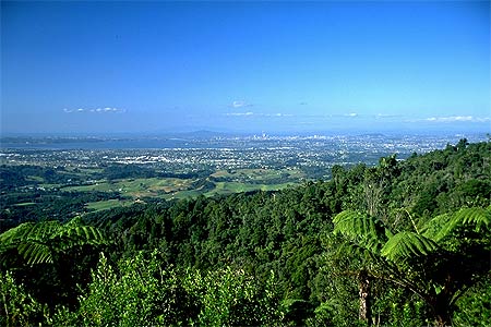 Waitakere Ranges photo