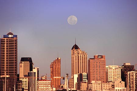 Auckland Skyline photo