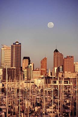 Westhaven Marina photo