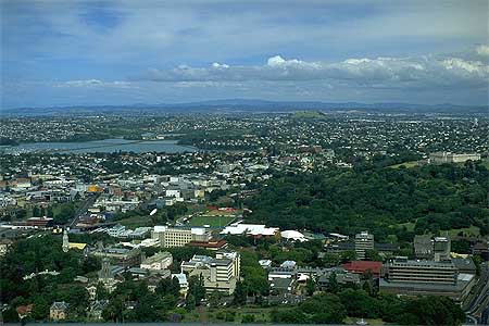 Sky Tower View photo