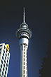 Sky Tower photo