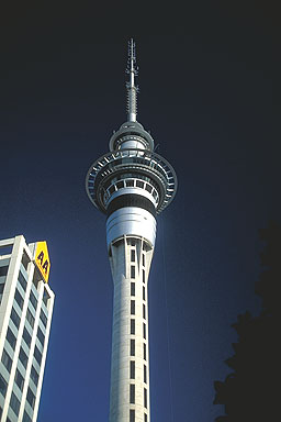 Sky Tower photo