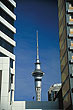 Sky Tower photo