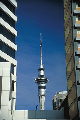 Sky Tower photo