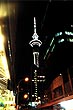 Sky Tower View photo