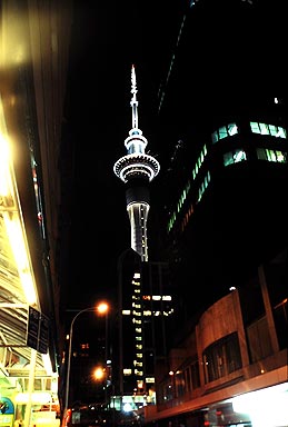 Sky Tower Night View photo