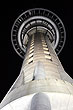 Sky Tower photo