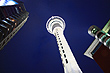 Sky Tower photo