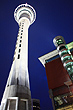 Sky Tower photo