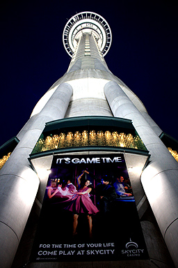 Night time view of the Skytower photo