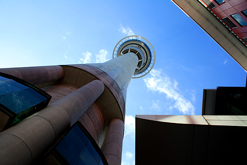 View of Auckland Skytower photo
