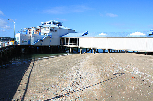 Devonport Wharf Auckland photo