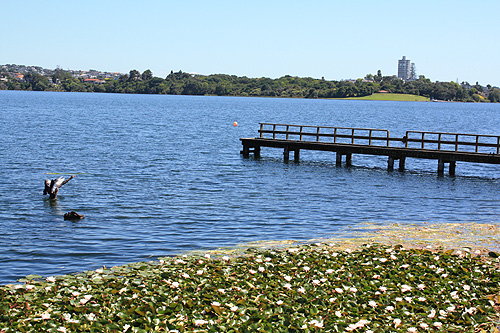 Lake Pupuke photo