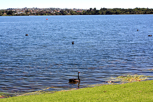 Lake Pupuke photo