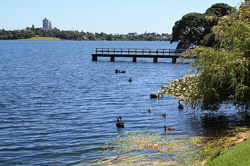 Lake Pupuke photo