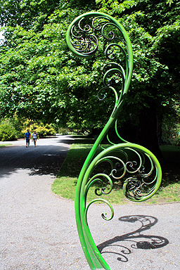 Koru Sculpture Botanic Gardens photo