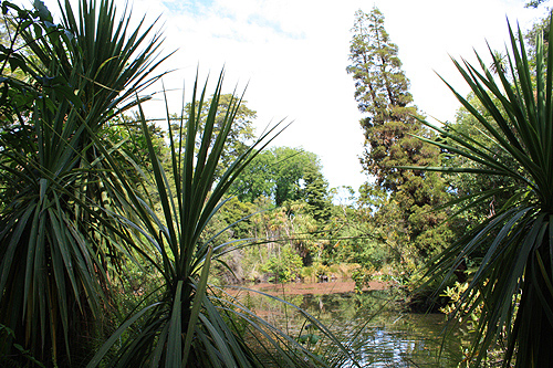 The New Zealand Garden photo