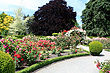 Rose Garden Christchurch photo