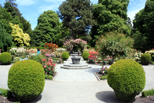 The Rose Garden Christchurch photo