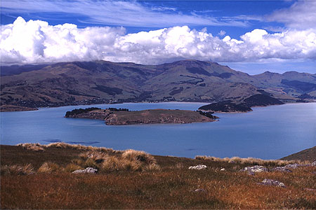 Banks Peninsula photo