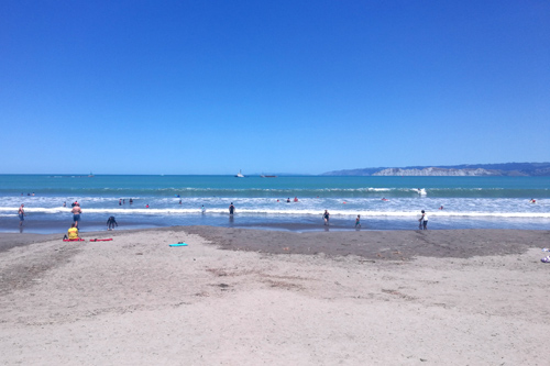 Waikanae Beach Gisborne photo