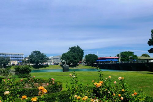 Gisborne Botanical Gardens photo