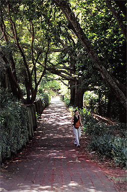 Waikato River Walkway photo