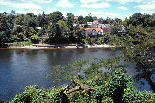 Waikato River photo