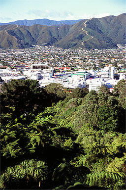 Lower Hutt photo