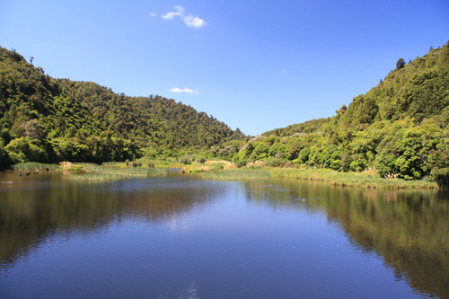 Wainui Wetlands photo