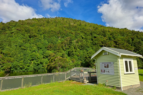 Wainuiomata Lower Dam Area photo