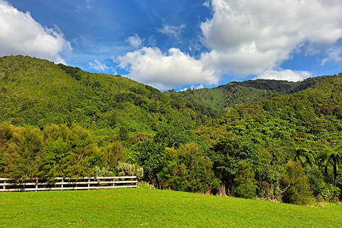 Rimutaka photo