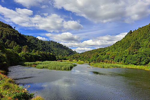 Wainuiomata Wetland photo