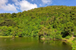 Wainuiomata Wetlands photo