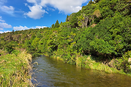 Upper Wainuiomata River photo