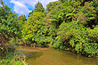 Wainuiomata River photo