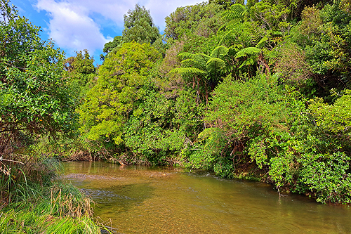 Upper Wainuiomata River photo