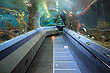 National Aquarium Napier photo