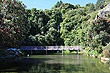 Centennial Gardens Napier photo