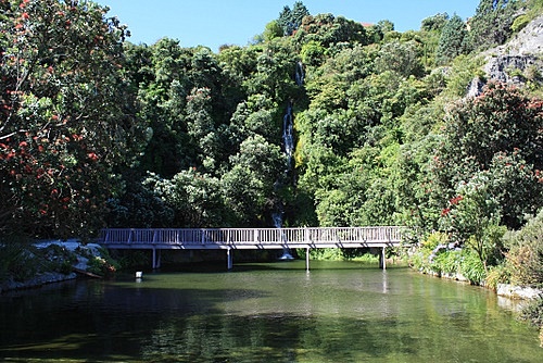 Centennial Gardens photo