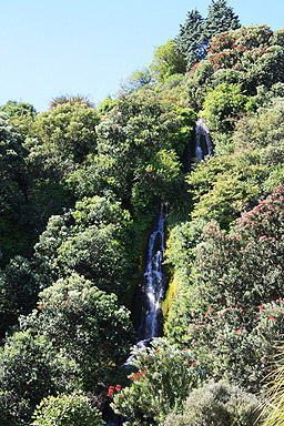 Centennial Gardens  Napier photo