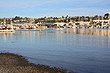 Napier Marina photo