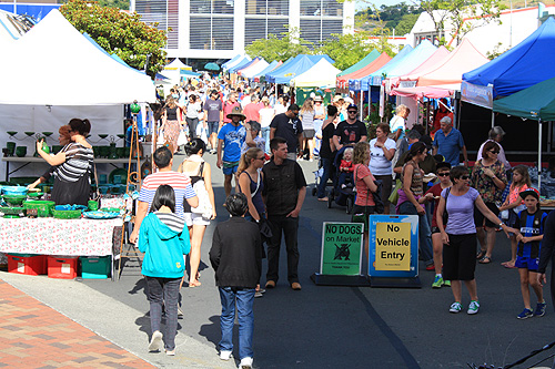 The Nelson Markets photo