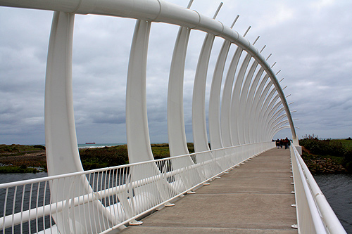 Te Rewa Rewa Bridge photo